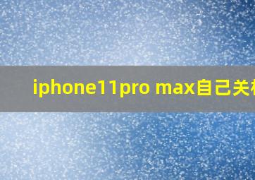 iphone11pro max自己关机了